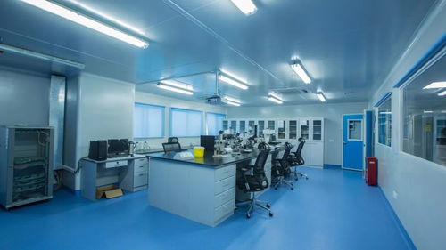 中深裝精品工程之深圳出入境檢驗(yàn)檢疫局食品衛(wèi)生監(jiān)督實(shí)驗(yàn)室改造工程電氣安裝服務(wù)